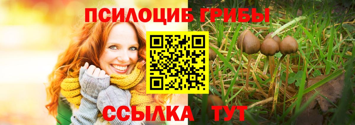 Псилоцибиновые грибы прущие грибы Владимир